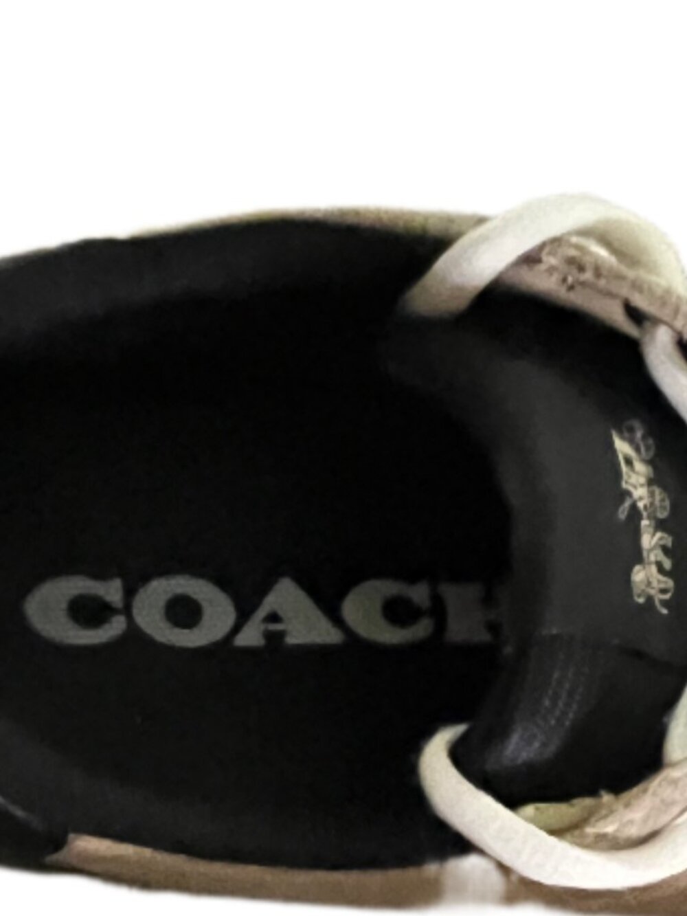 COACH MEN'S CLIP LOW TOP OAT & BLACK QUARTZ SUEDE SNEAKERS SIZE 8D - Picture 15 of 15